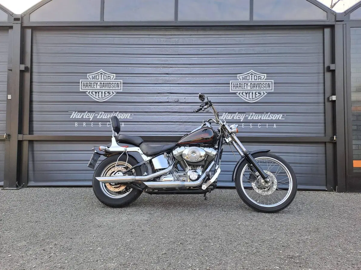 Harley-Davidson 1450 Standard (2002 - 05) - FXSTI