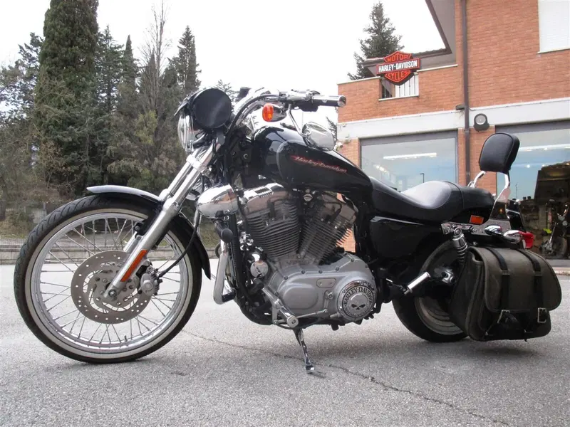 Harley-Davidson 883 Custom (2001 - 05) - XL 53C (3)
