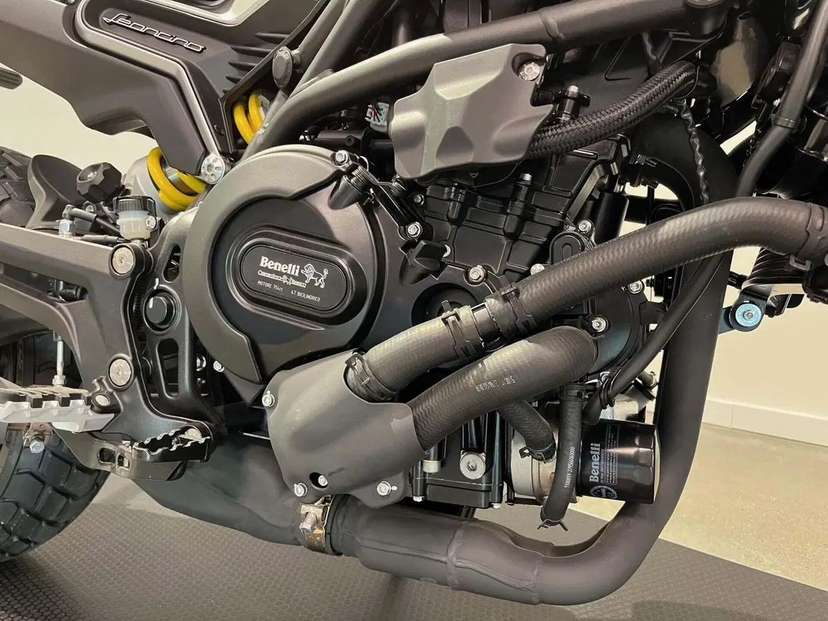 Benelli Leoncino 800 (2022 - 26) (10)
