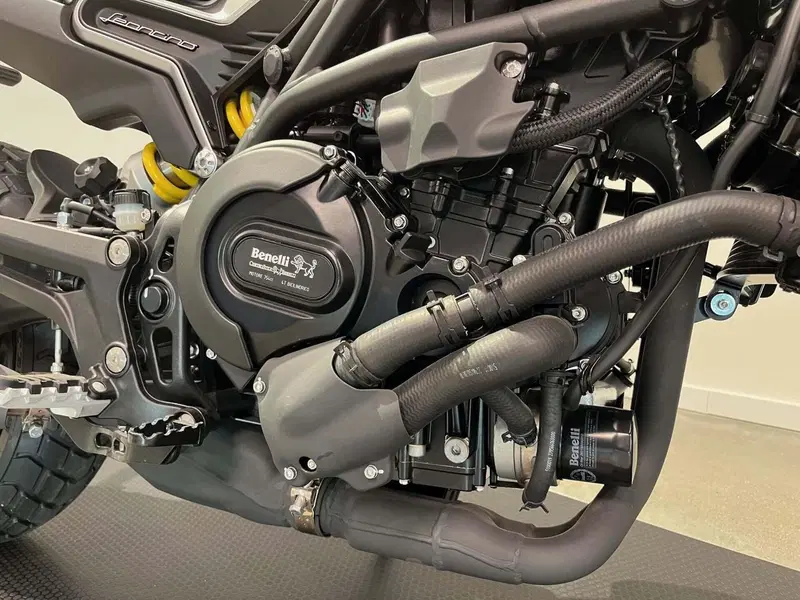 Benelli Leoncino 800 (2022 - 26) (14)
