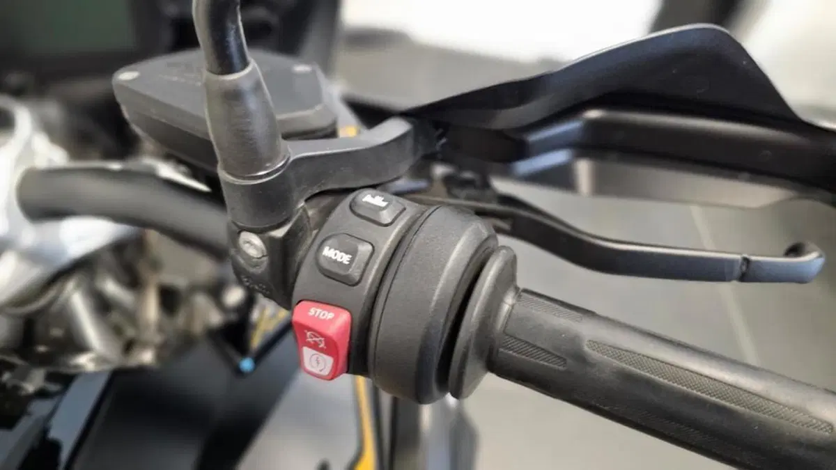 Bmw R 1250 GS (2019 - 20) (5)