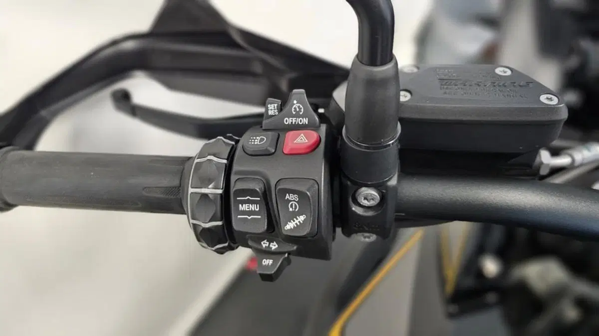 Bmw R 1250 GS (2019 - 20) (3)