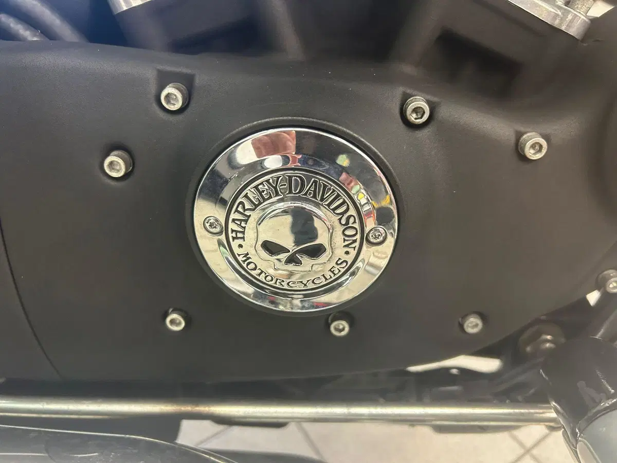 Harley-Davidson 883 R (2008 - 16) - XL 883R (4)