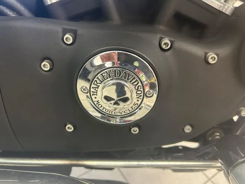 Harley-Davidson 883 R (2008 - 16) - XL 883R (4)