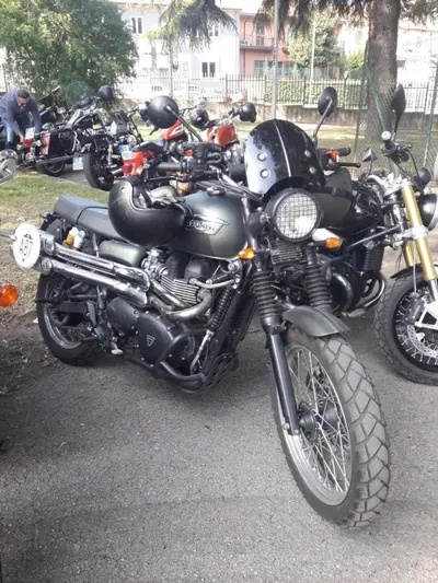 Triumph Scrambler (2006 - 17) usata