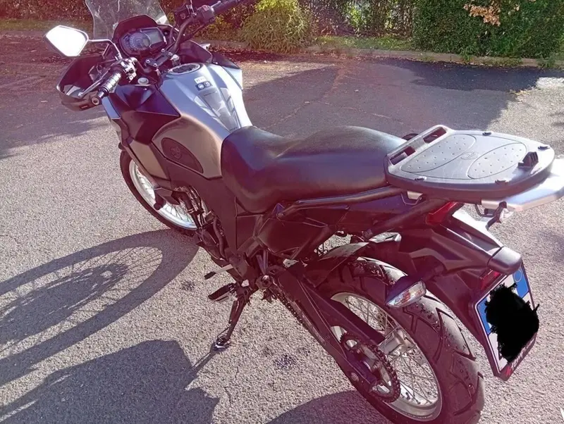 Kawasaki Versys-X 300 Urban (2017 - 19) (6)