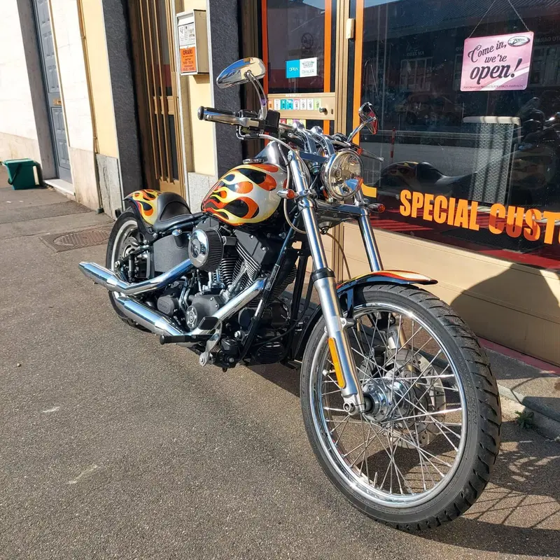 Harley-Davidson 1584 Night Train (2006 - 07) - FXSTB (16)