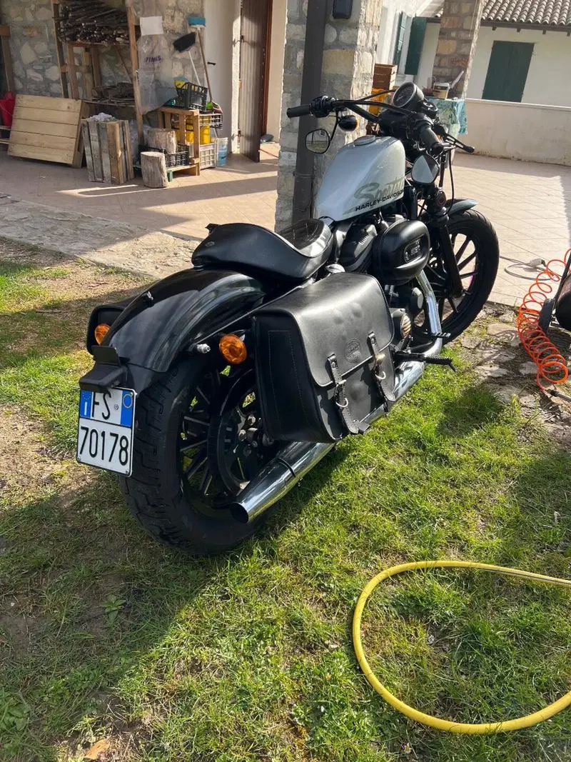 Harley-Davidson 883 Iron (2012 - 14) - XL 883N (4)