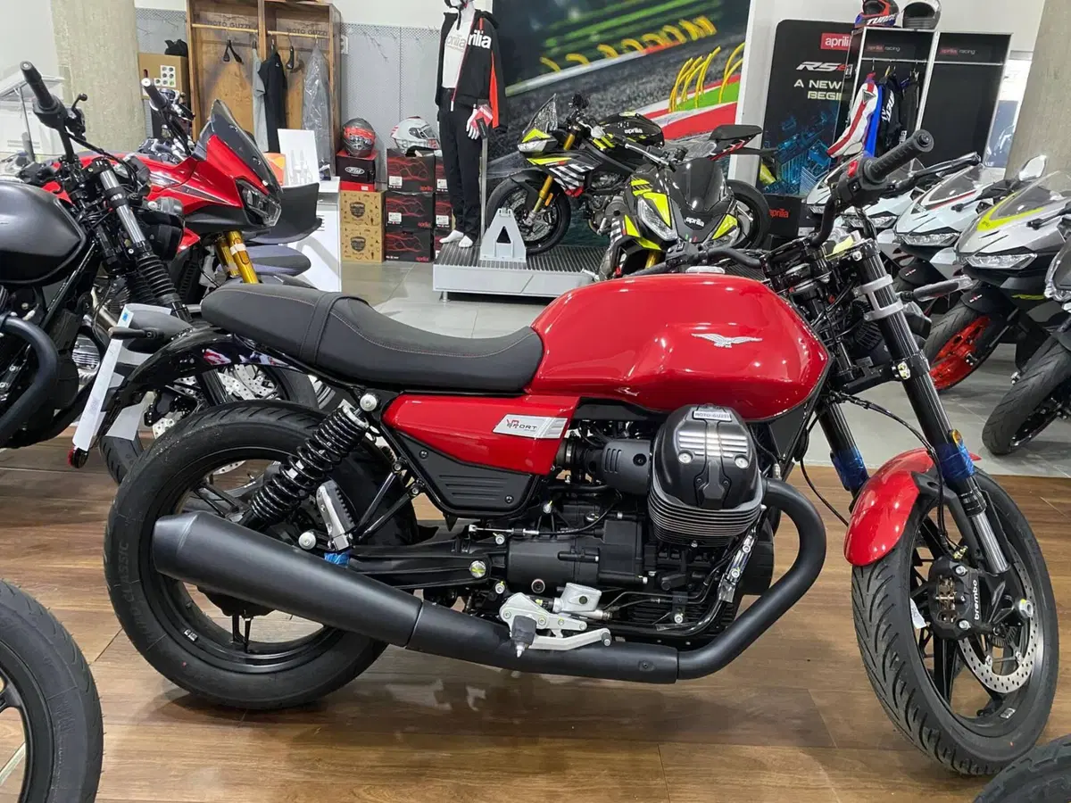 Moto Guzzi V7 Sport (2025 - 26) (2)