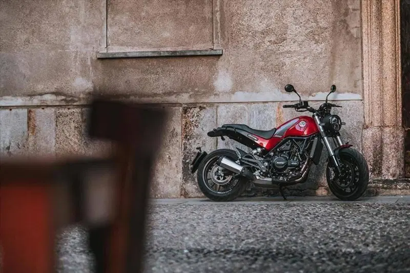 Benelli Leoncino 500 (2021 - 25) (4)