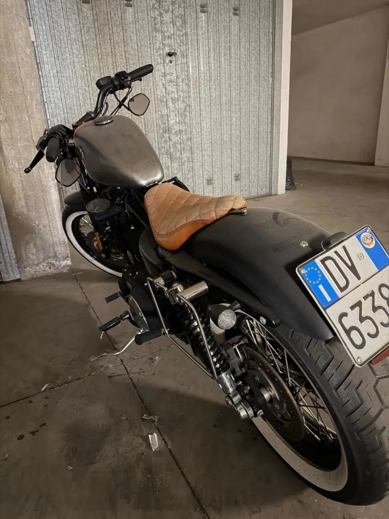 Harley-Davidson 883 Custom (2008 - 12) - XL 883C (4)