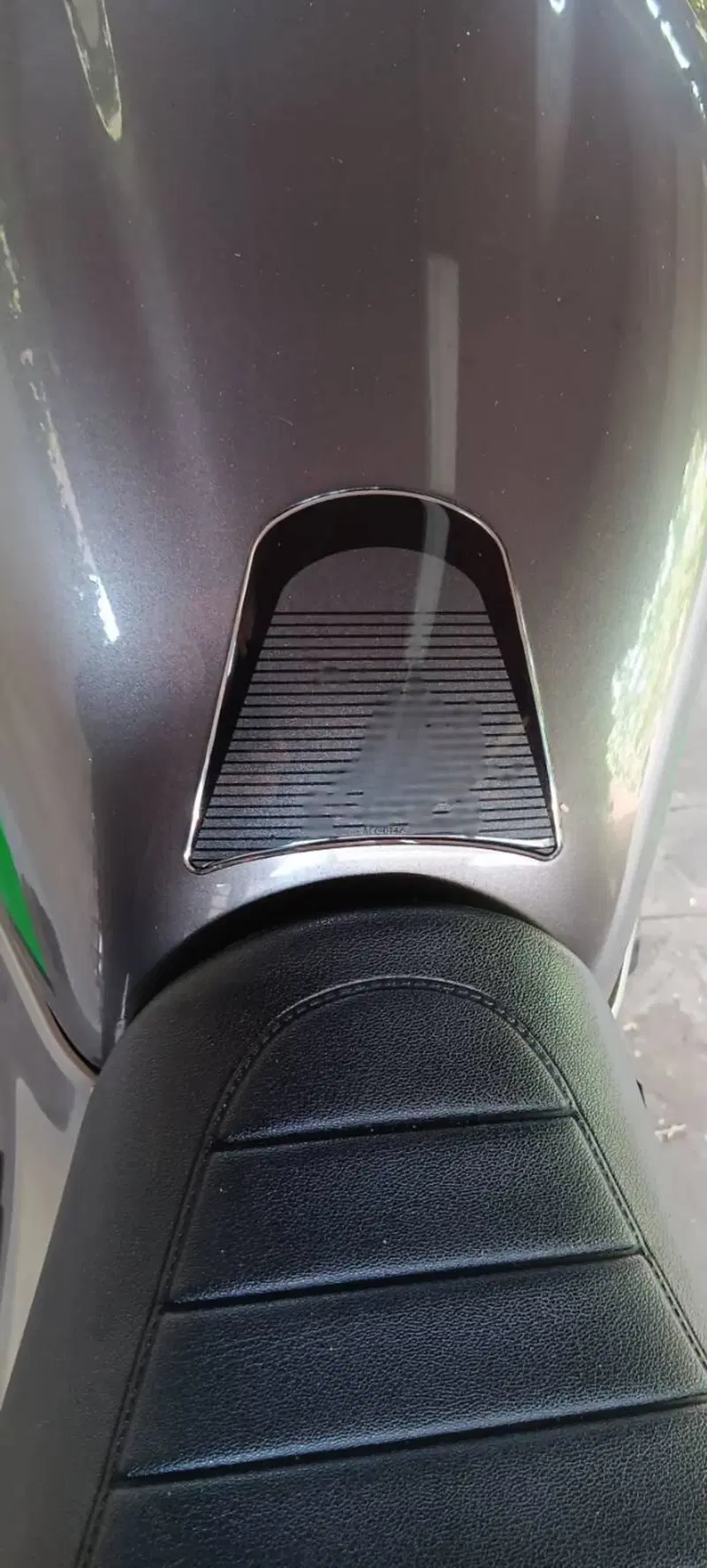 Kawasaki Z 900 RS Cafè Performance (2020 - 21) (13)