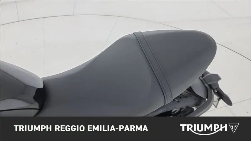 Triumph Trident 660 (2025) (13)