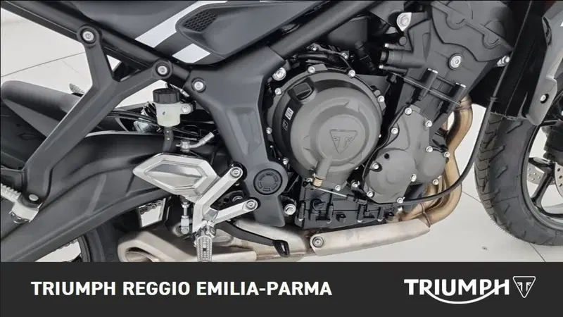 Triumph Trident 660 (2025) (18)