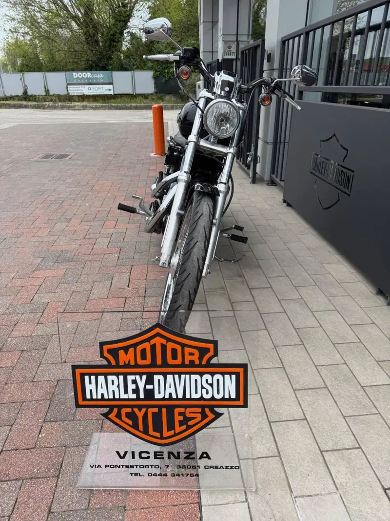 Harley-Davidson 883 Custom (2006 - 07) - XL 883C (4)