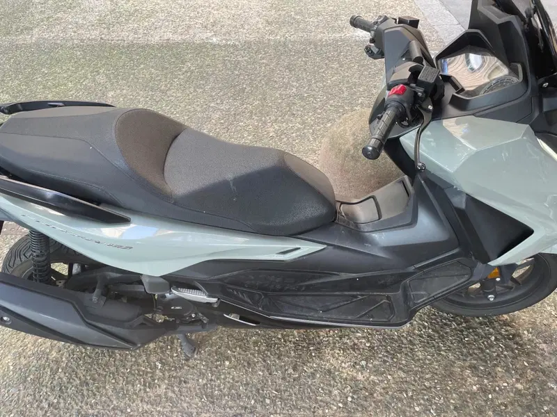 Honda Forza 350 (2022 - 24)
