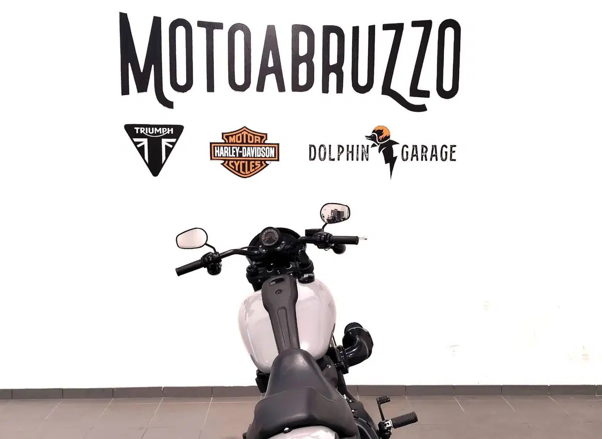 Harley-Davidson Low Rider S (2022 - 24) (12)