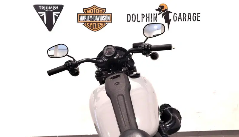 Harley-Davidson Low Rider S (2022 - 24) (13)