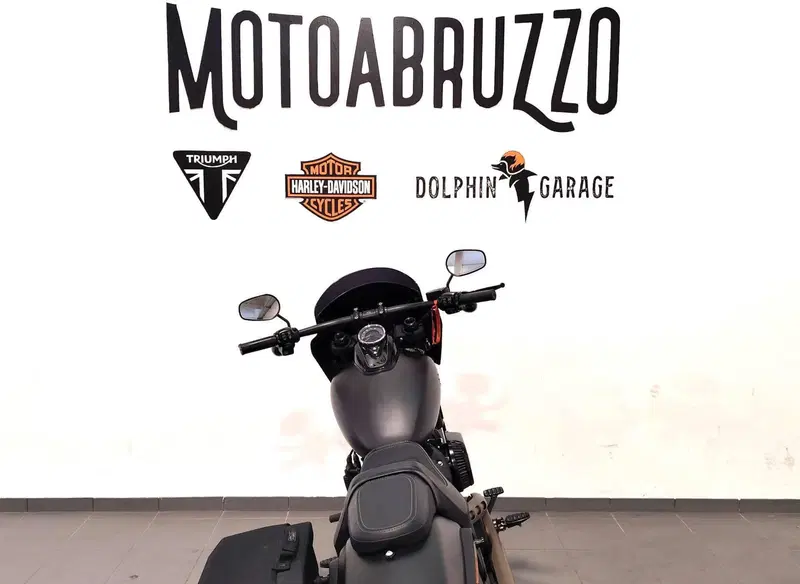 Harley-Davidson Fat Bob 114 (2021 - 25) (12)