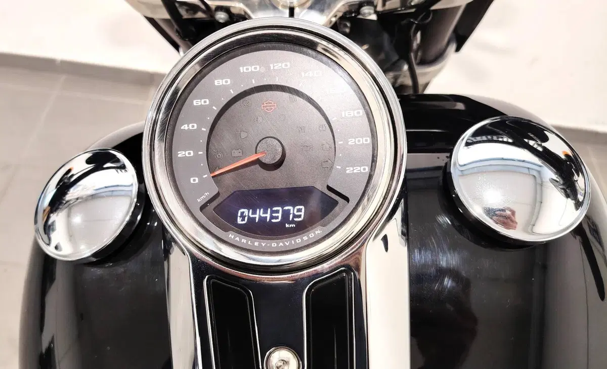Harley-Davidson Sport Glide (2021 - 25) (14)