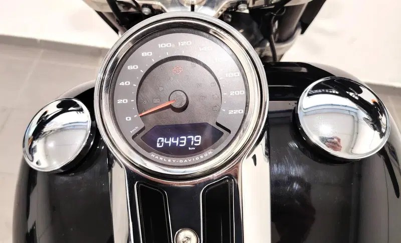 Harley-Davidson Sport Glide (2021 - 25) (14)