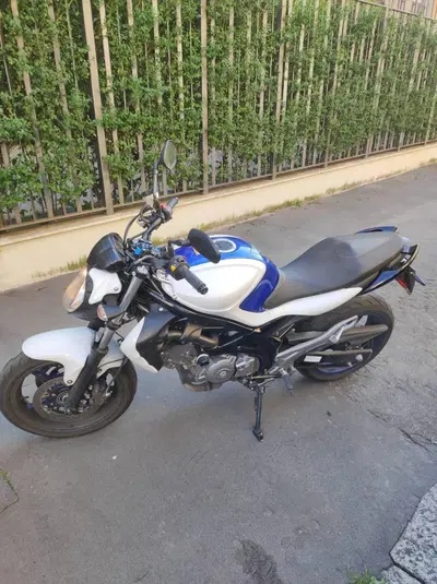 Suzuki Gladius 650 SFV ABS (2009 - 15) usata