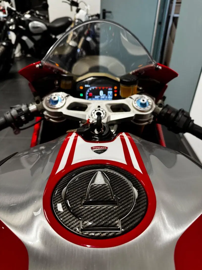 Ducati 1199 Panigale R ABS (2013 - 17) (14)