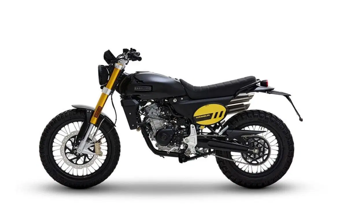 Fantic Motor Caballero 125 Scrambler (2025 - 26) (3)