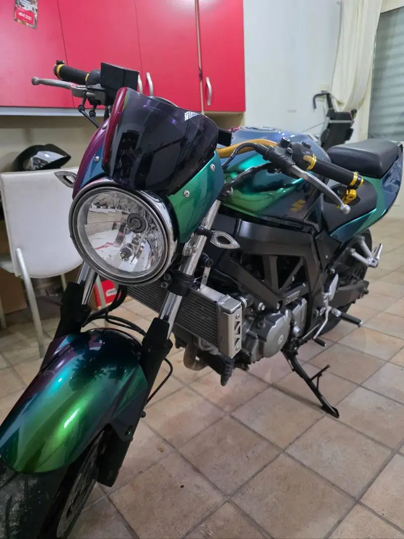 Suzuki SV 650 (2006 - 11)