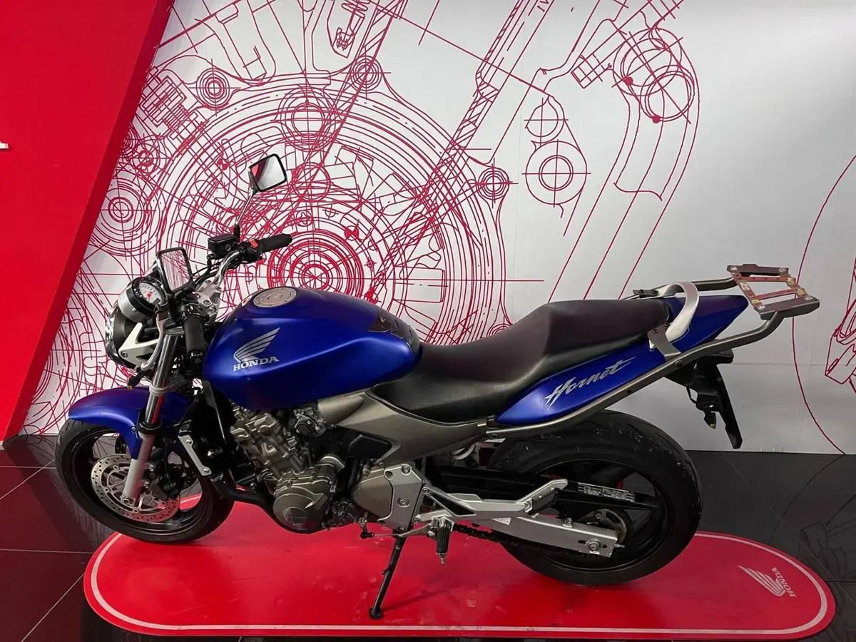 Honda Hornet 600 (2003 - 04) (6)