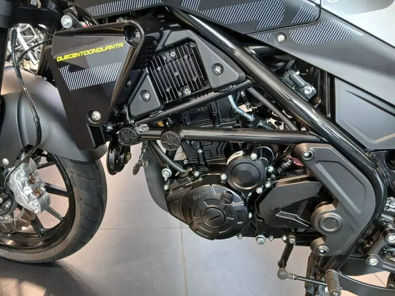 Benelli Leoncino 250 (2021 - 25) (11)