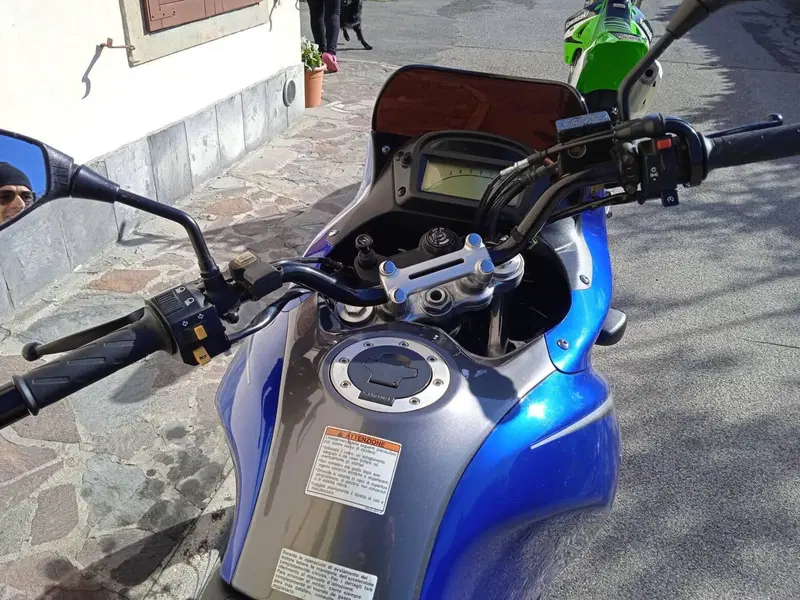 Suzuki XF 650 Freewind (1997 - 03) (3)