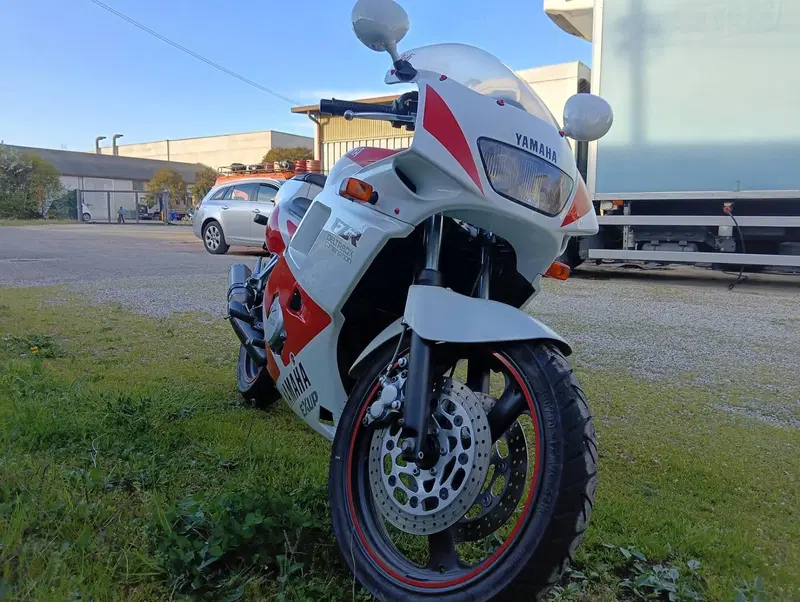 Yamaha FZR 250 R 3LN Deltabox Combination (3)