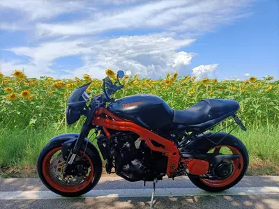 Triumph Speed Triple 1050 (2005 - 11) usata