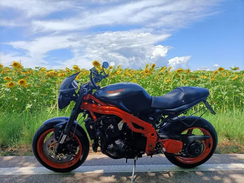 Triumph Speed Triple 1050 (2005 - 11)