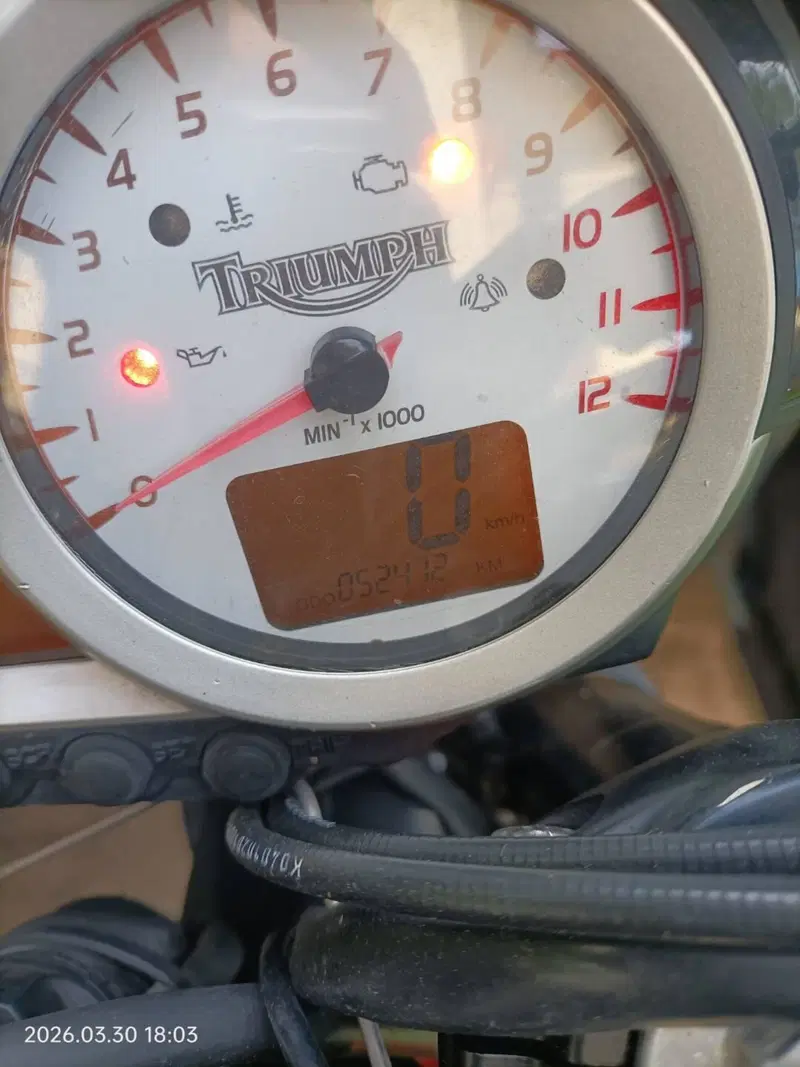 Triumph Speed Triple 1050 (2005 - 11) (5)