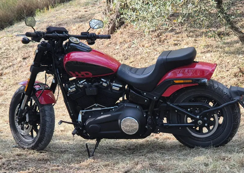 Harley-Davidson Fat Bob 114 (2021 - 25) (5)