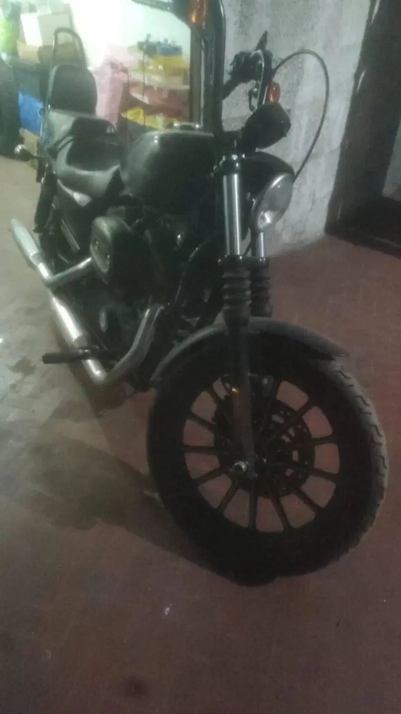 Harley-Davidson 883 Iron (2009 - 11) - XL 883N (5)