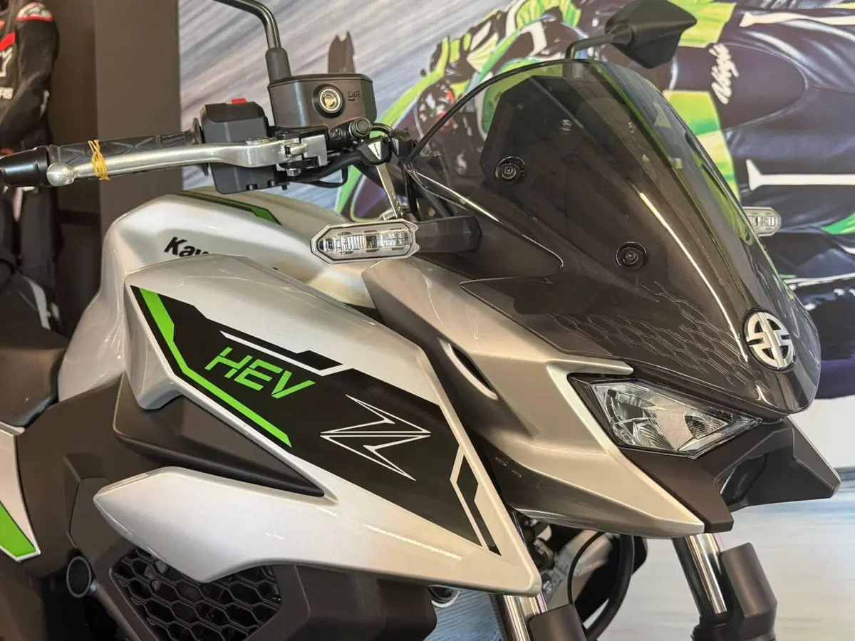 Kawasaki Z7 Hybrid (2024 - 26) (8)