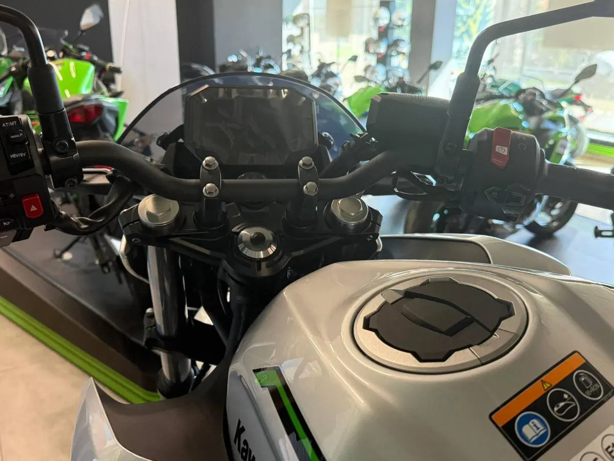 Kawasaki Z7 Hybrid (2024 - 26) (10)