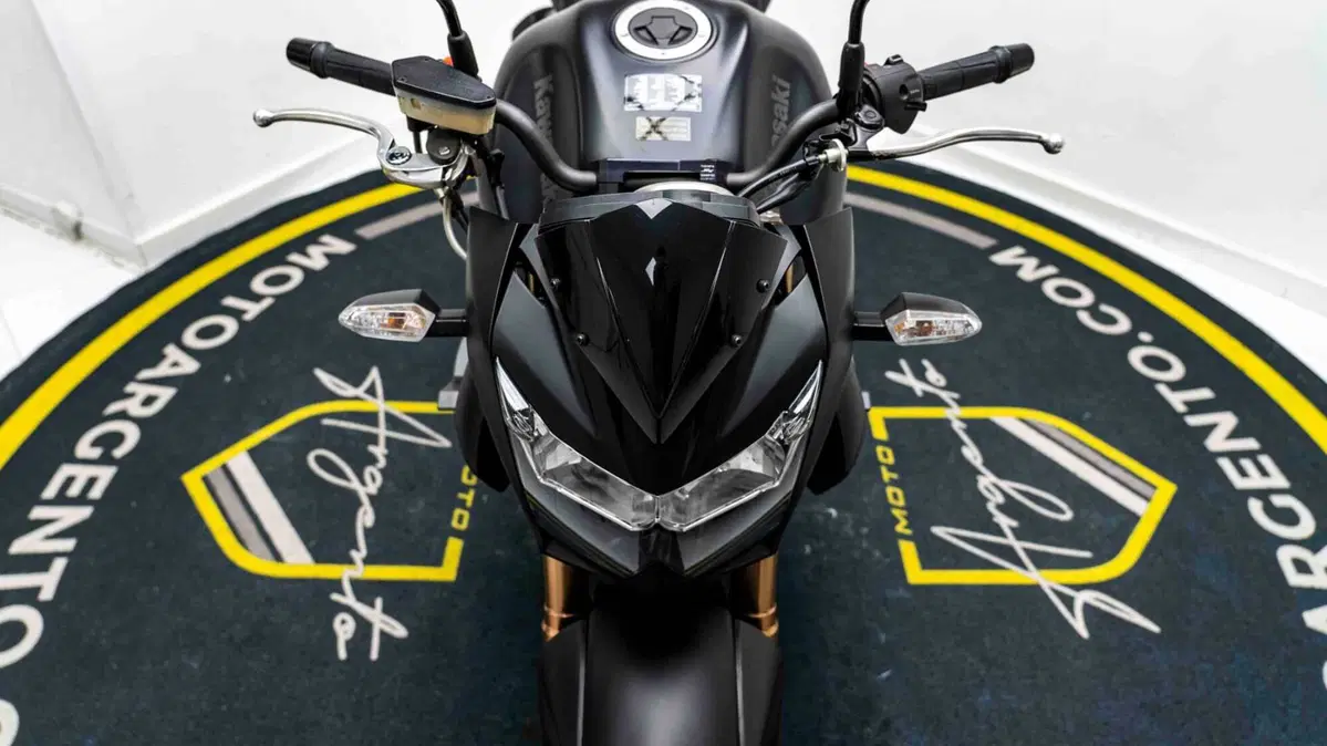Kawasaki Z 750 R (2011 - 14) (16)