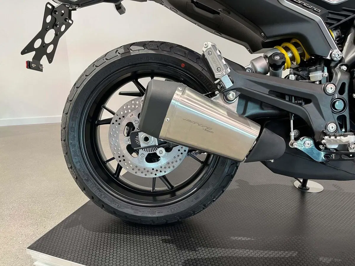 Benelli Leoncino 800 (2022 - 26) (8)