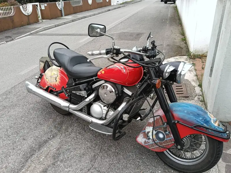 Kawasaki VN 800 Drifter (1999 - 00) (5)