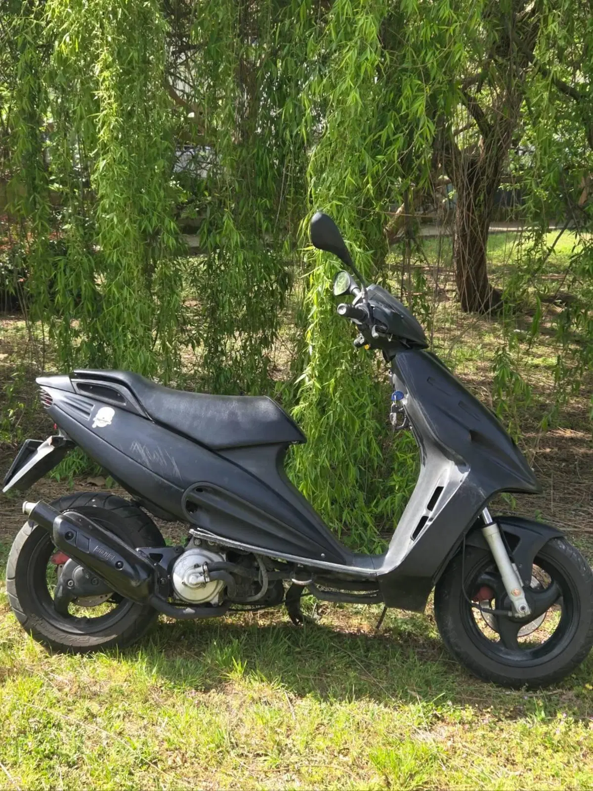 Malaguti F12  (10)