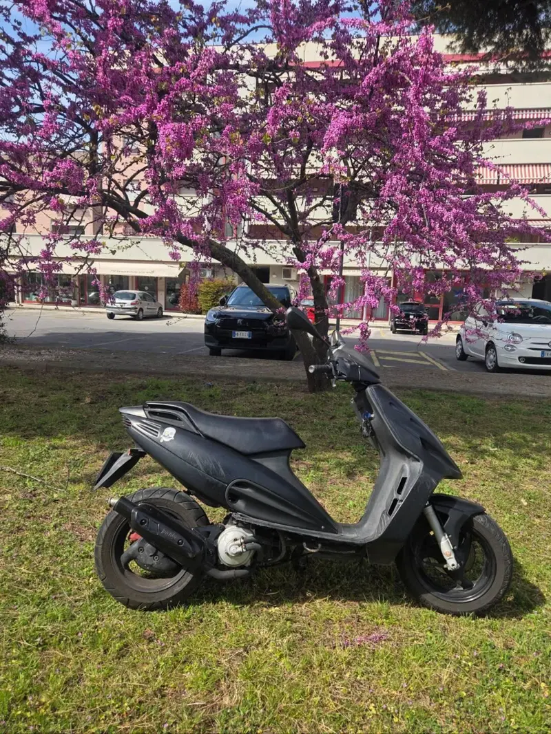 Malaguti F12  (11)