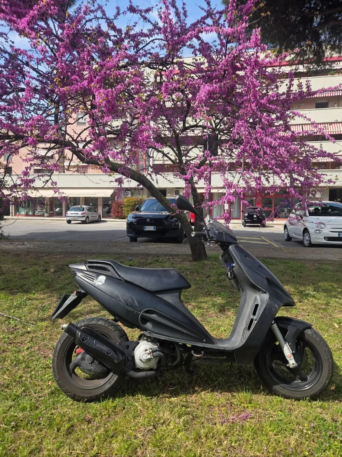 Malaguti F12  (12)
