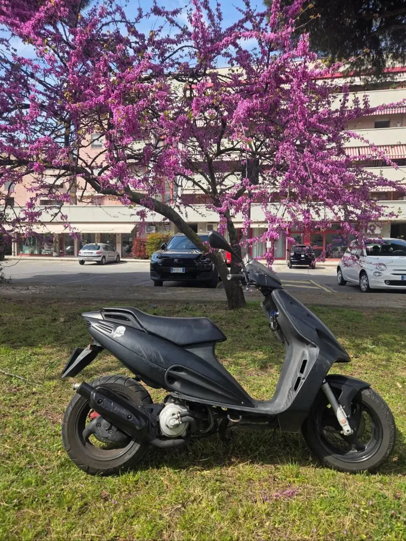 Malaguti F12  (12)