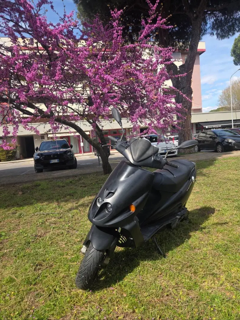 Malaguti F12  (14)
