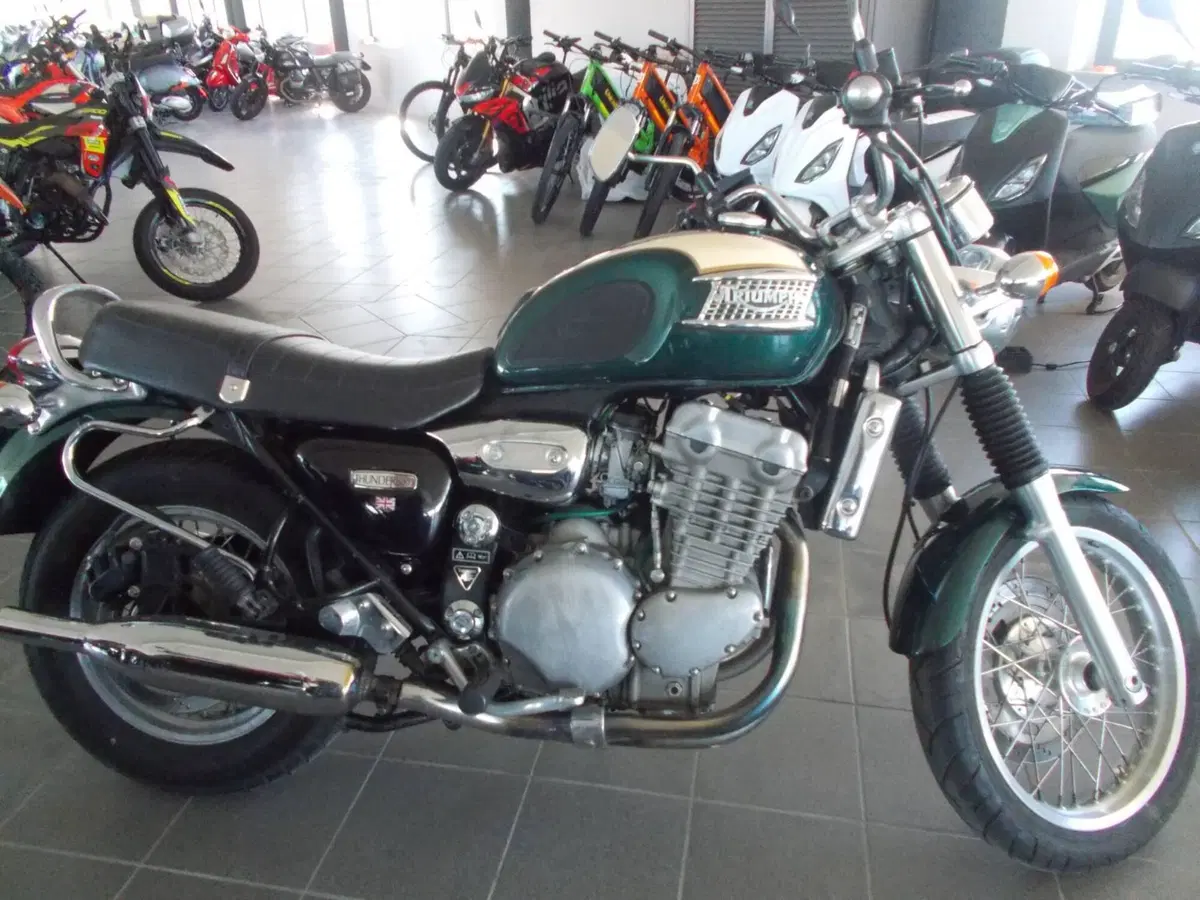 Triumph Thunderbird 900 (1995 - 01) (2)