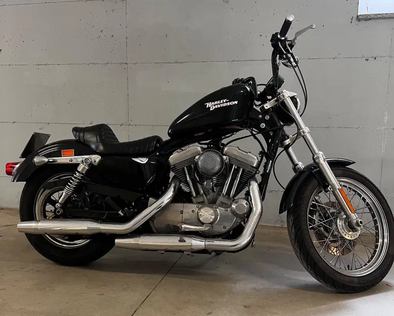 Harley-Davidson 883 (2008 - 09) - XL (2)